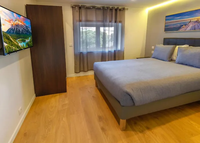 Modern With Garden *